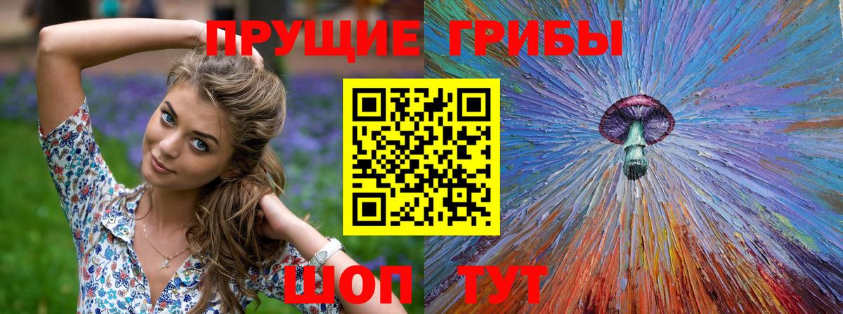 Сергиев Посад  Псилоцибиновые грибы Magic Shrooms  Вход с VPN  где можно купить наркотик  Галлюциногенные грибы MAGIC MUSHROOMS 