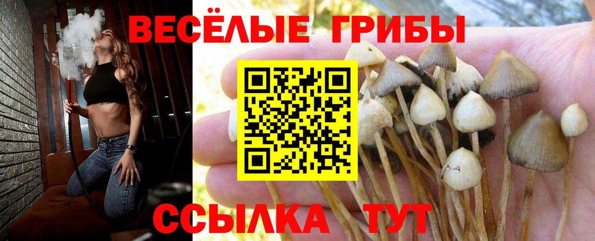 Галлюциногенные грибы мицелий Сергиев Посад